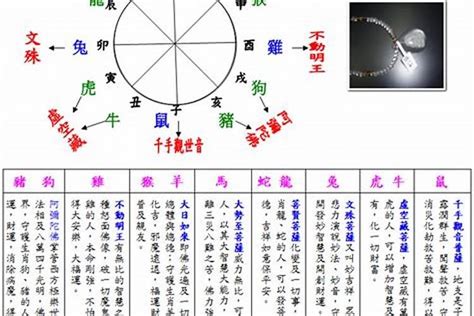 2015年五行属什么|2015年属羊是什么命，15年出生五行属什么